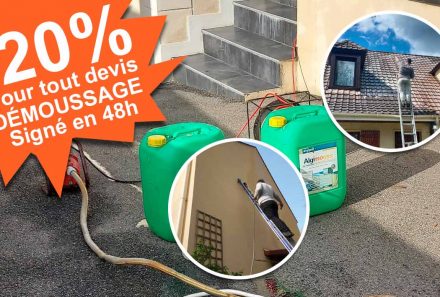 Démoussage pas cher ! Yvelines 78 et Eure 27
