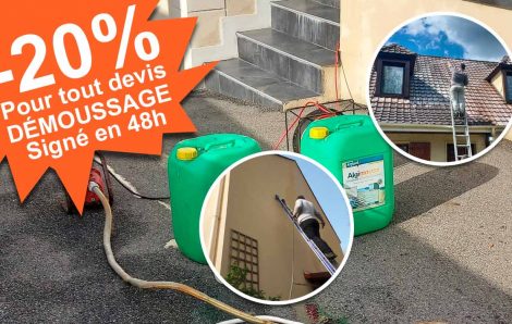 Démoussage pas cher ! Yvelines 78 et Eure 27